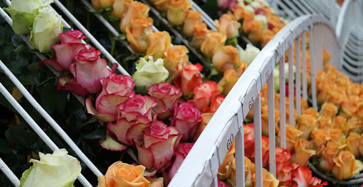 Rosanti Flowers - Thumbnail