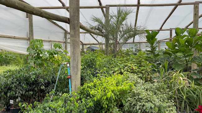 Opiniones de Vivero El Sr De Los Árboles en Las Piedras - Centro de jardinería