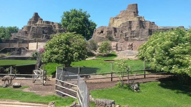 Zoo de Londres