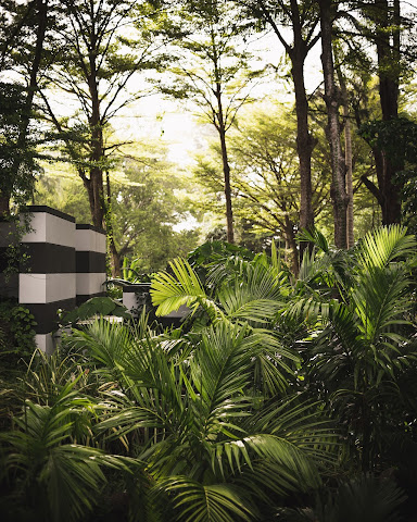 The Slate Phuket by null