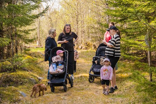 Skogsäventyret
