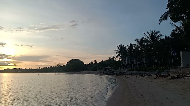 Thong Sala Beach by null