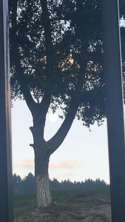 Photos of Parque de los "Recuerdos"