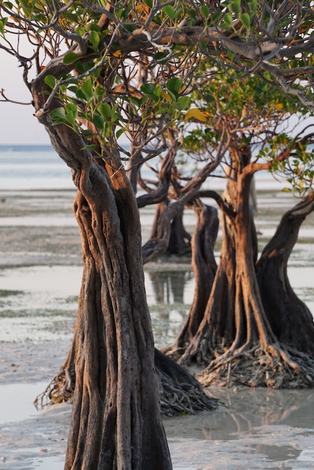 Walakiri Beach