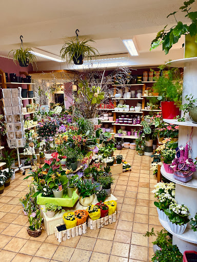 Blumenfreund Pause - Thumbnail