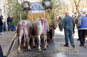 Photo n°4 de Boucherie Carraz à Bazas (Boucherie)