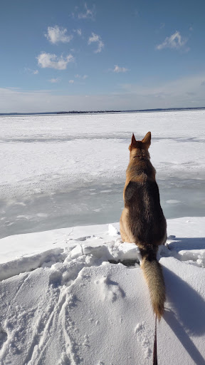 Higgins Lake - Thumbnail