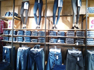 Photos of Terranova