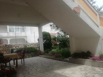 Photos of Apartments Valentino