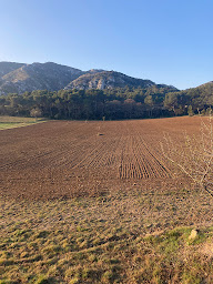 Photo n°36 de Terre et Blé à Saint-Rémy-de-Provence (Restaurant)