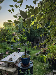 Photo n°20 de L'arôme antique à Puiseaux (Jardin)