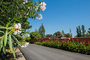 Photo n°76 de Arinella Bianca à Ghisonaccia (Logement indépendant avec services)