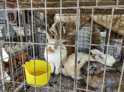 Forrajes Y Veterinaria Casillas