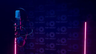 Thevaultmk