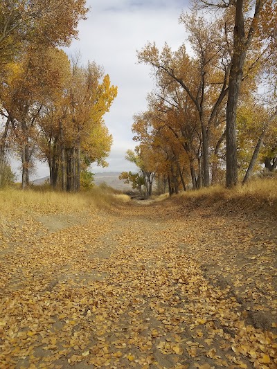 Ambrose Carson River Natural Area