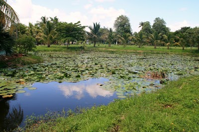 Photos of Criadero de Cocodrilos de Guam&aacute;