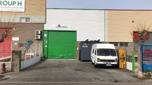Cactus Garage - Thumbnail