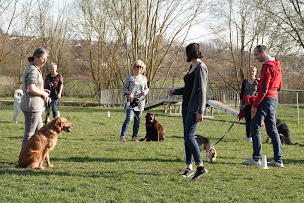 Photo n°18 de Club Cynophile du Toulois - Club Canin Toul à Dommartin-lès-Toul (Association bénévole)