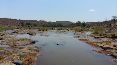 Photos of Makuya Game Reserve