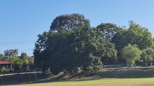 James Reserve Playground - Thumbnail