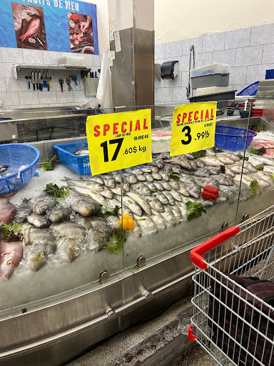 Marché Atlas - Visual