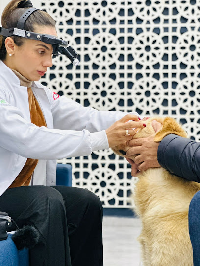 Oftalmologia Veterinária em Guarulhos- Atendimento especializado, cirurgia e ultrassom ocular | M.V Carolina Marostica