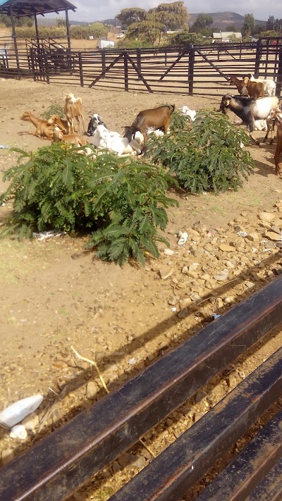 Photos of Mararal Livestock Market