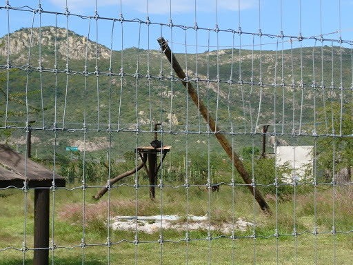 El Santuario del Jaguar - Thumbnail