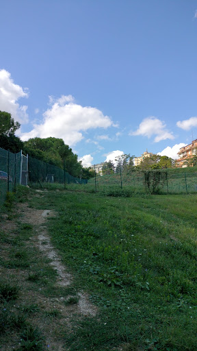 Scooby Park - Visual