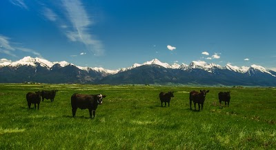 Clearwater Montana Properties, Deer Lodge