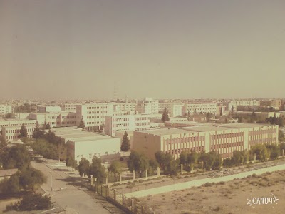 Photos of Mosque Suhaib Rumi 608 homes