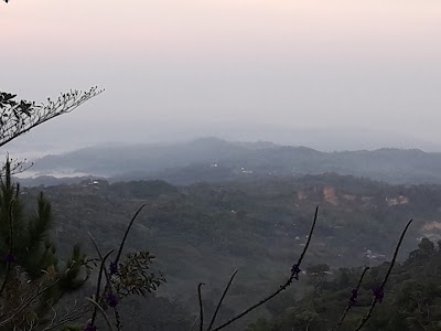 Photos of Casa Botania