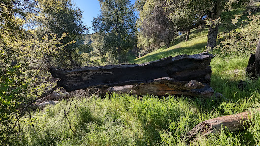 Rivendale Park & Open Space: Taylor Trailhead - Thumbnail
