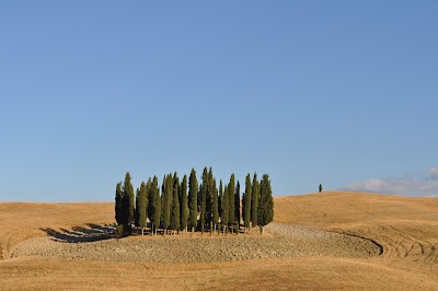 Valdorcia Terre Senesi esposizione