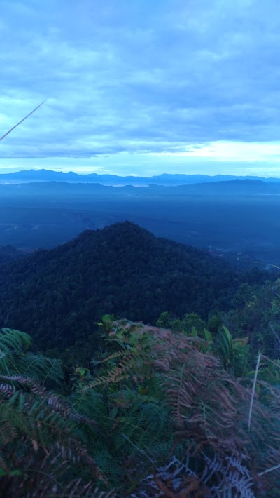 Photos of Bukit Seligi