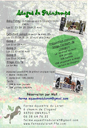 Photo n°10 de Ferme équestre du Loret à Orvault (Éleveur de chevaux)