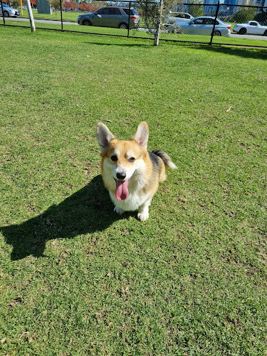Ozone Dog Agility Park - Thumbnail