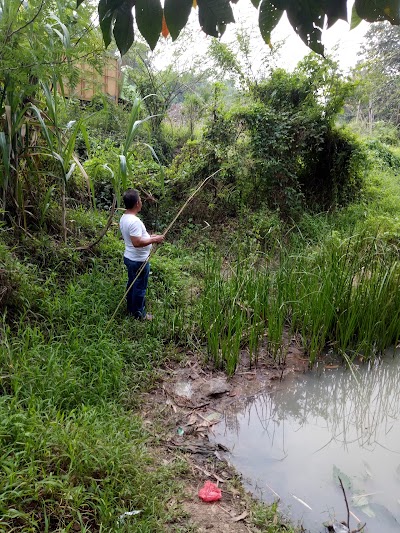Photos of Griya Cikuda