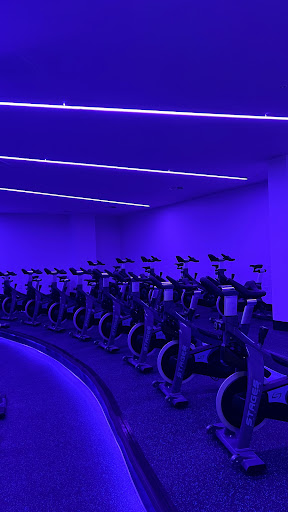 Align Cycling - Visual
