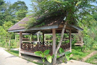 Photos of Restaurant with Elephants