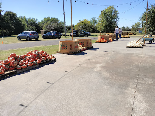 2021 Pumpkin Patch - Visual