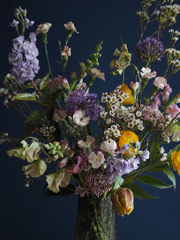 Hops Petunia Floral by null