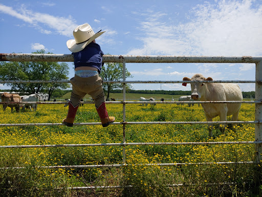 Rustling River Ranch - Visual
