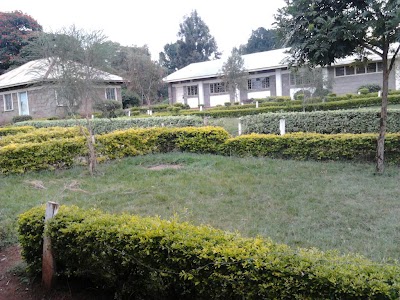 school