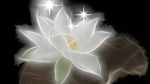 PERMANENT MAKEUP SKIN CARE