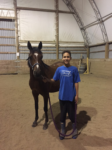 Destiny Equestrian Complex - Visual