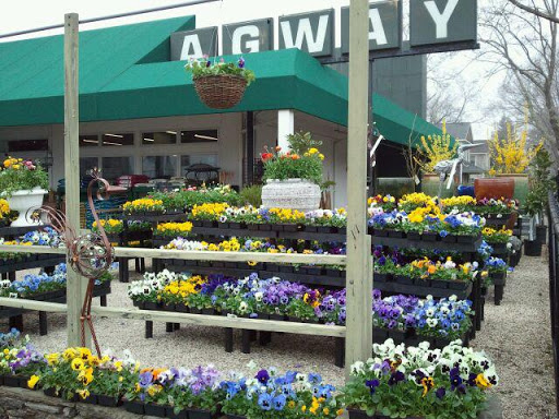 Chick's Southold Agway - Thumbnail