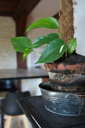 Photo n°9 de Cosy Zénith - Hébergements Appartement Location saisonnière à Caen (Location d'appartement de vacances)