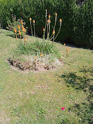 Photo n°26 de La Boulangerie de la Gare à Saint-Aubin-lès-Elbeuf (Boulangerie)