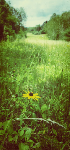 Black Creek Marsh Wildlife Management Area - Thumbnail